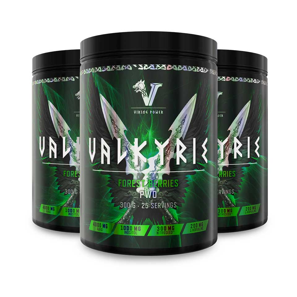 3st Valkyrie PWO